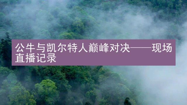 公牛与凯尔特人巅峰对决——现场直播记录